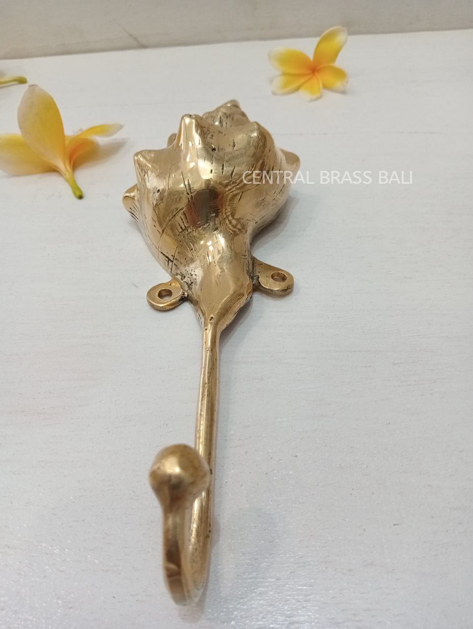 3pcs shell Hooks Brass