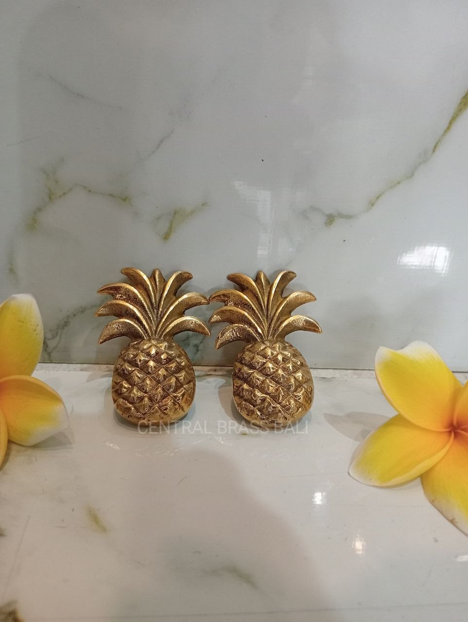 Set of 10pcs Pineapple knobs