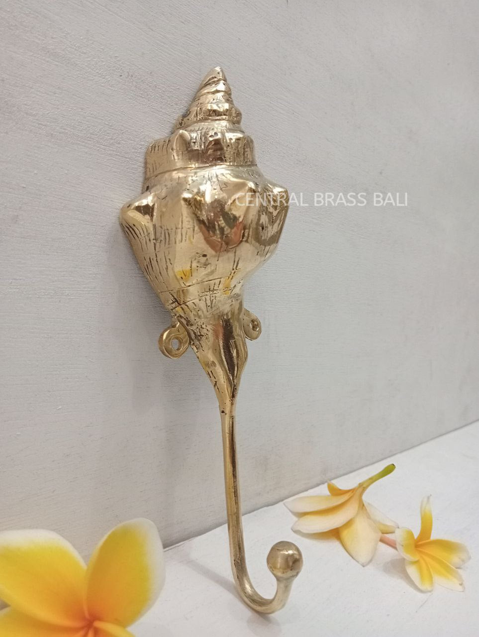 3pcs shell Hooks Brass