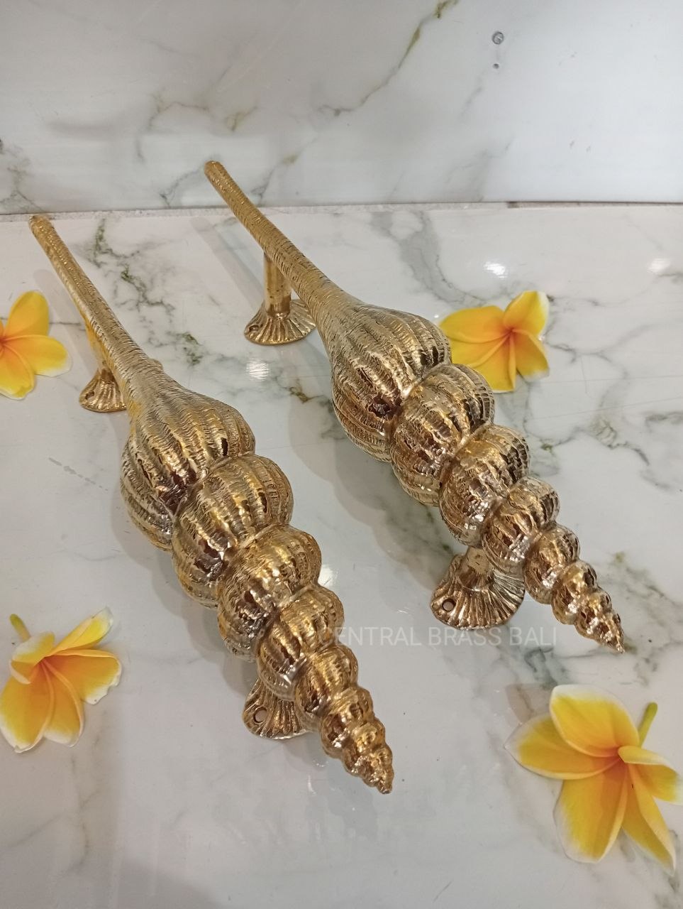 Set of 2pcs Shell Door handle