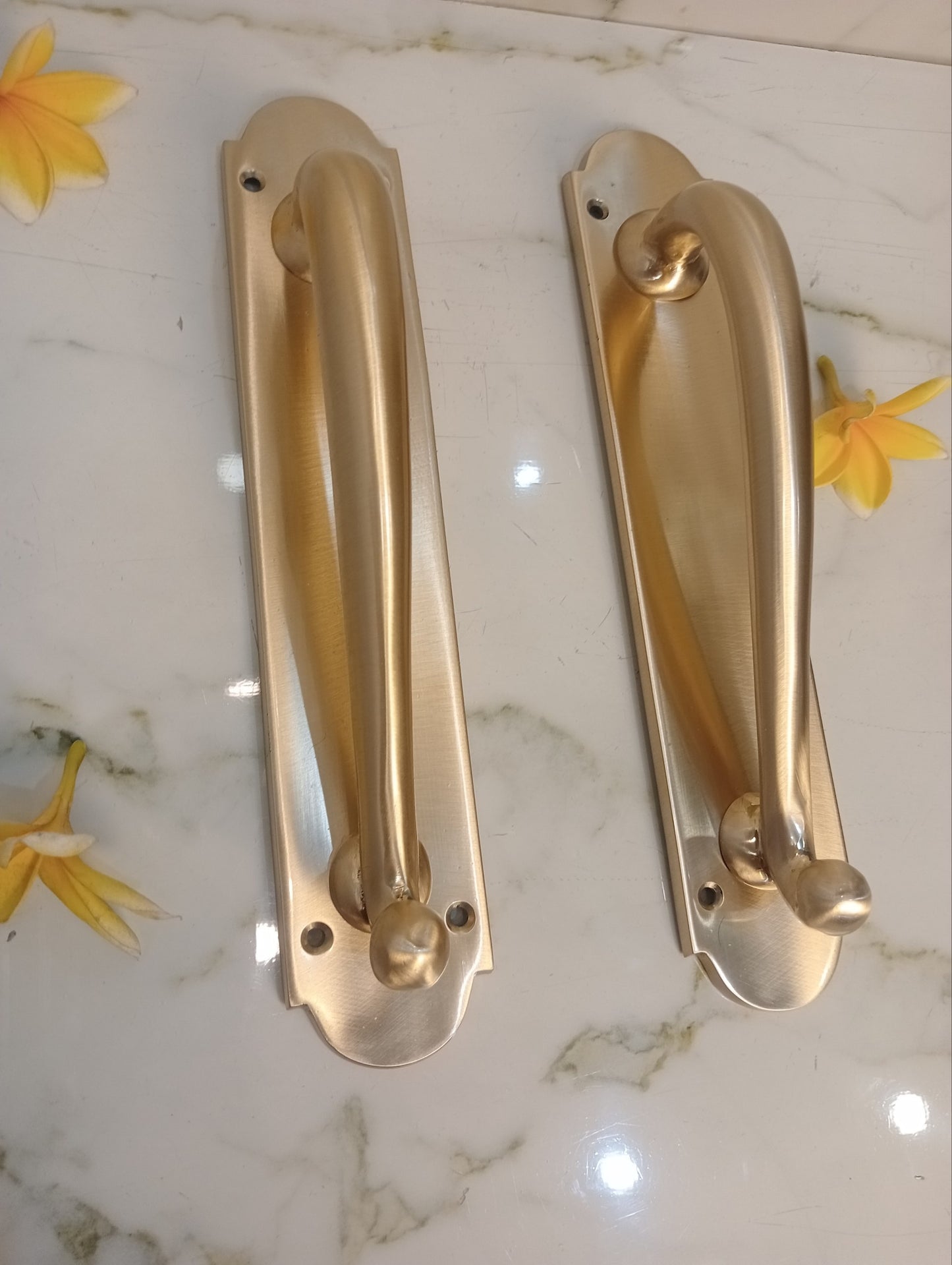 Modern Satin Brass French Door Handle | Luxury Entry Door Pull with Backplate | Contemporary Solid Brass Front Door Hardware | Pair