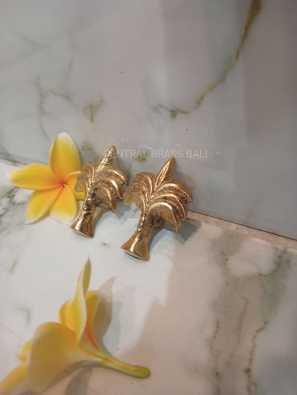 Set of 10pcs Palm knobs