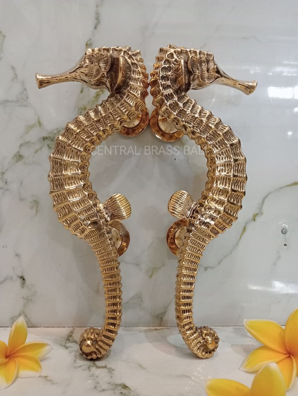 2xpcs Gold Polished Seahorse Door Handles