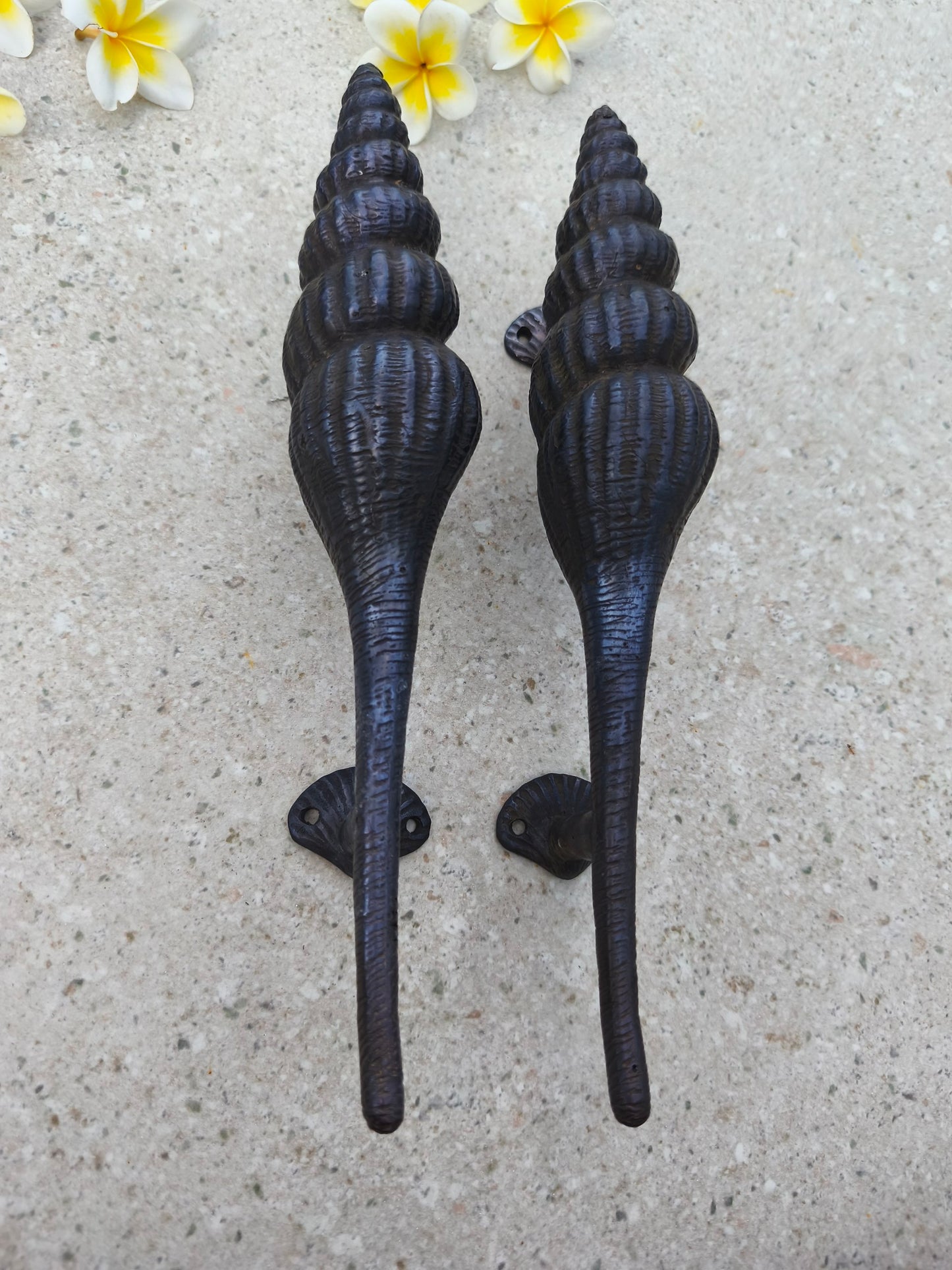 Black finish shell door pulls, solid brass coastal front door handles 35 cm tall, curvy ocean inspired design, unique entry hardware gift for beach lovers and seaside homeowners