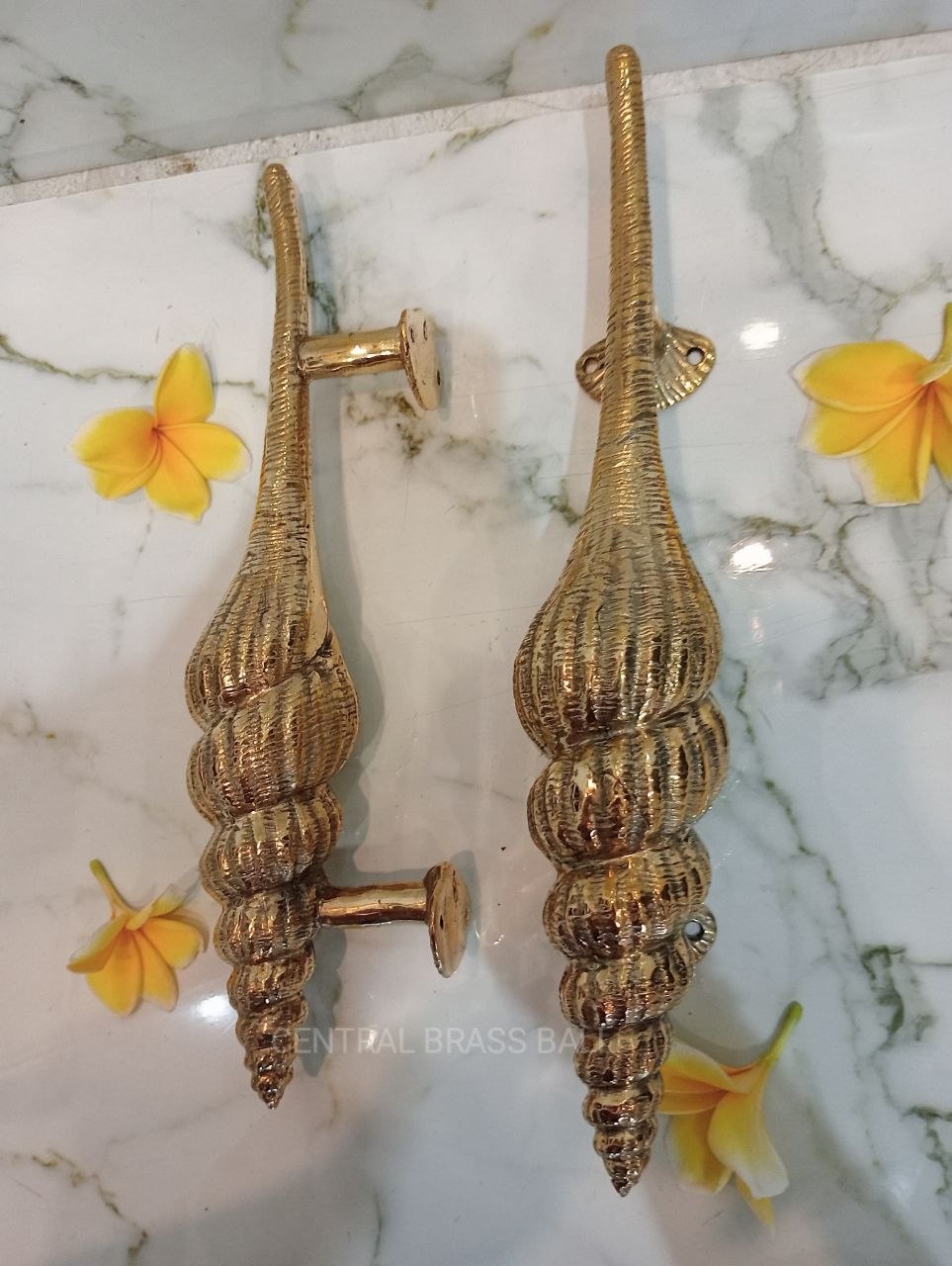 Set of 2pcs Shell Door handle