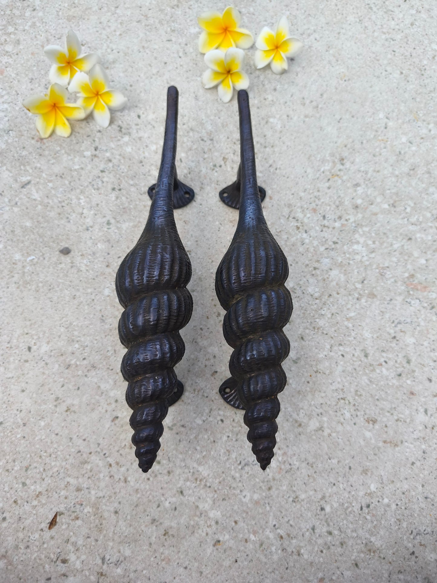 Coastal seashell front door pull handles, black finish solid brass pair 35 cm, beach house entry door hardware with curvy shell design, handcrafted by Central Brass Bali