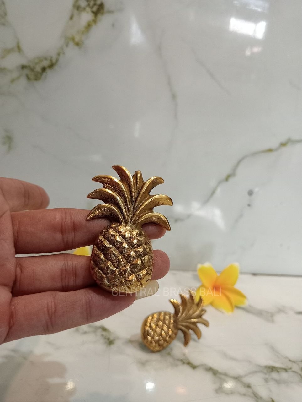 Set of 10pcs Pineapple knobs