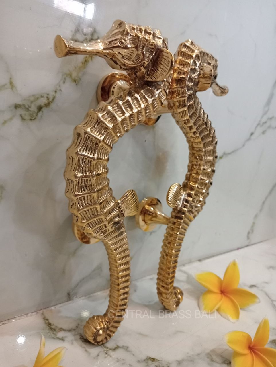 2xpcs Gold Polished Seahorse Door Handles