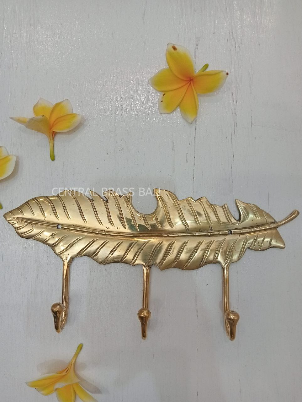 Big leaf door Brass Hooks