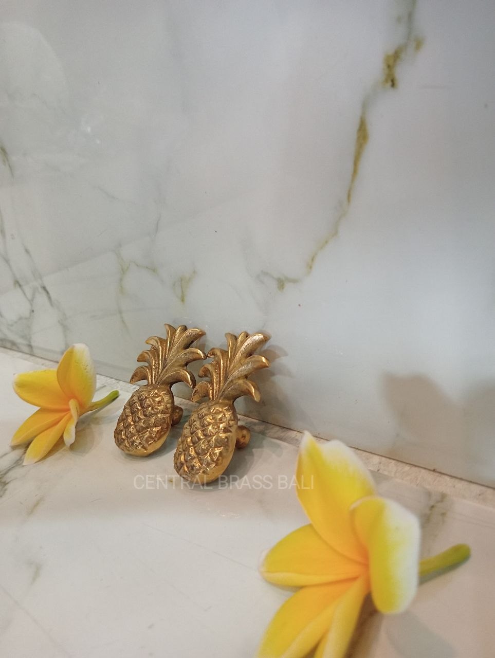 Set of 10pcs Pineapple knobs