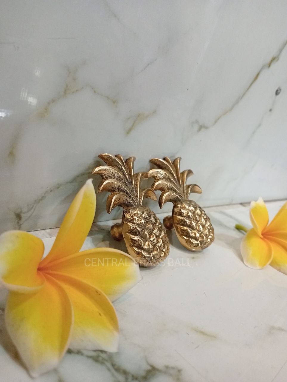 Set of 10pcs Pineapple knobs