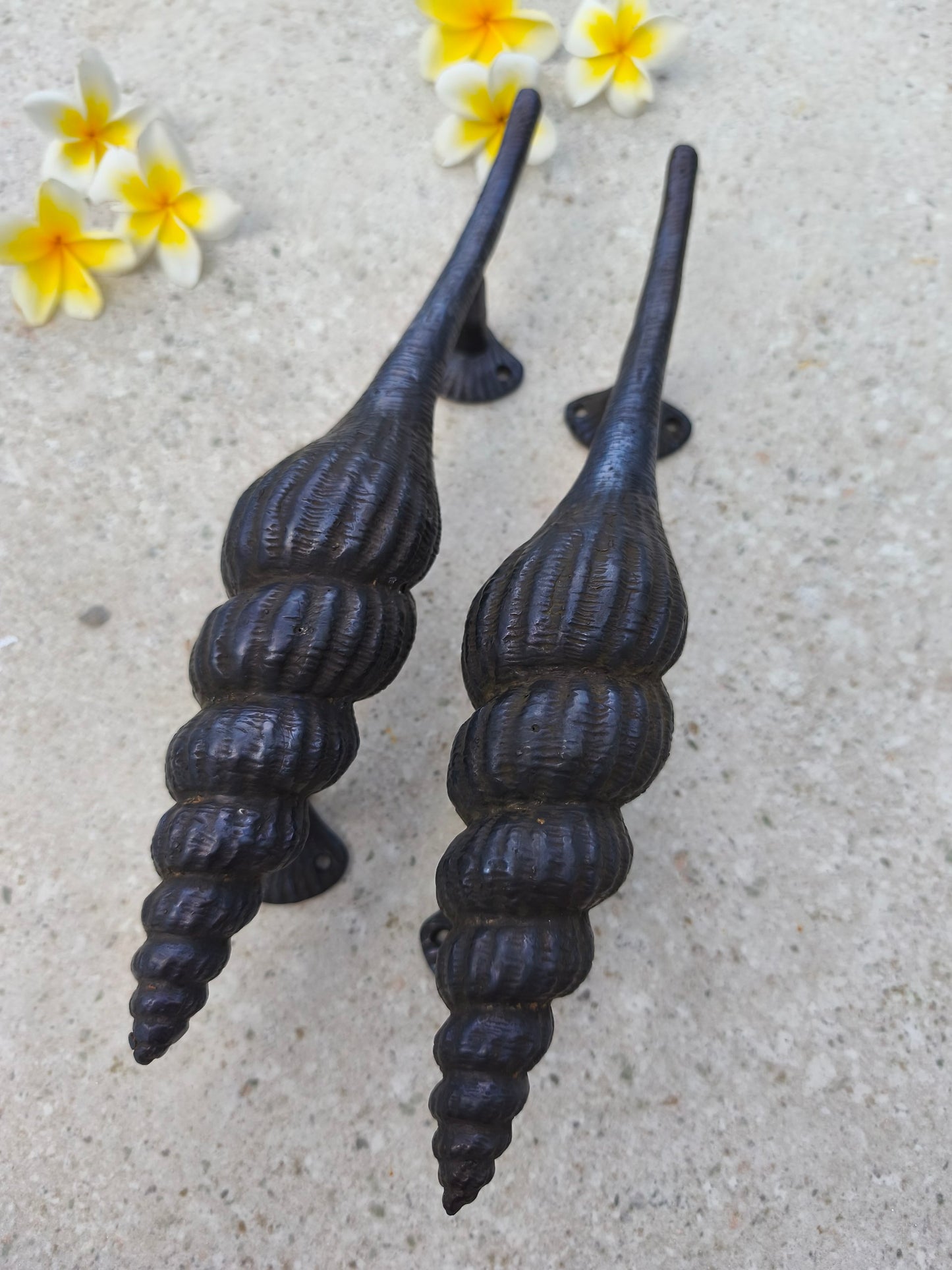 Rustic black brass door handles in a shell shape, coastal entry door pull pair, solid brass beach decor hardware for front doors of seaside homes, villas and holiday rentals