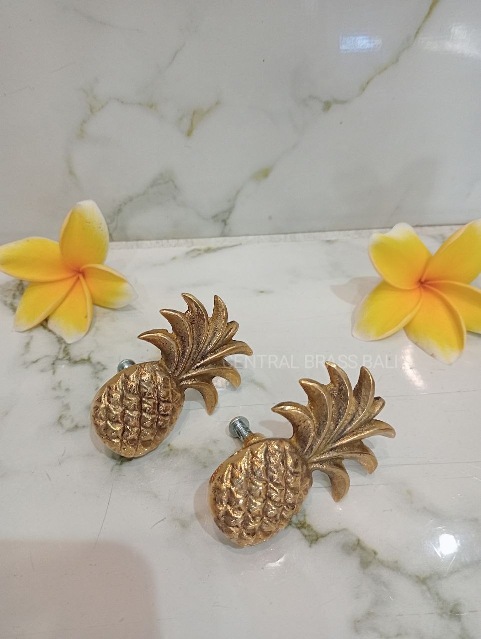 Set of 10pcs Pineapple knobs
