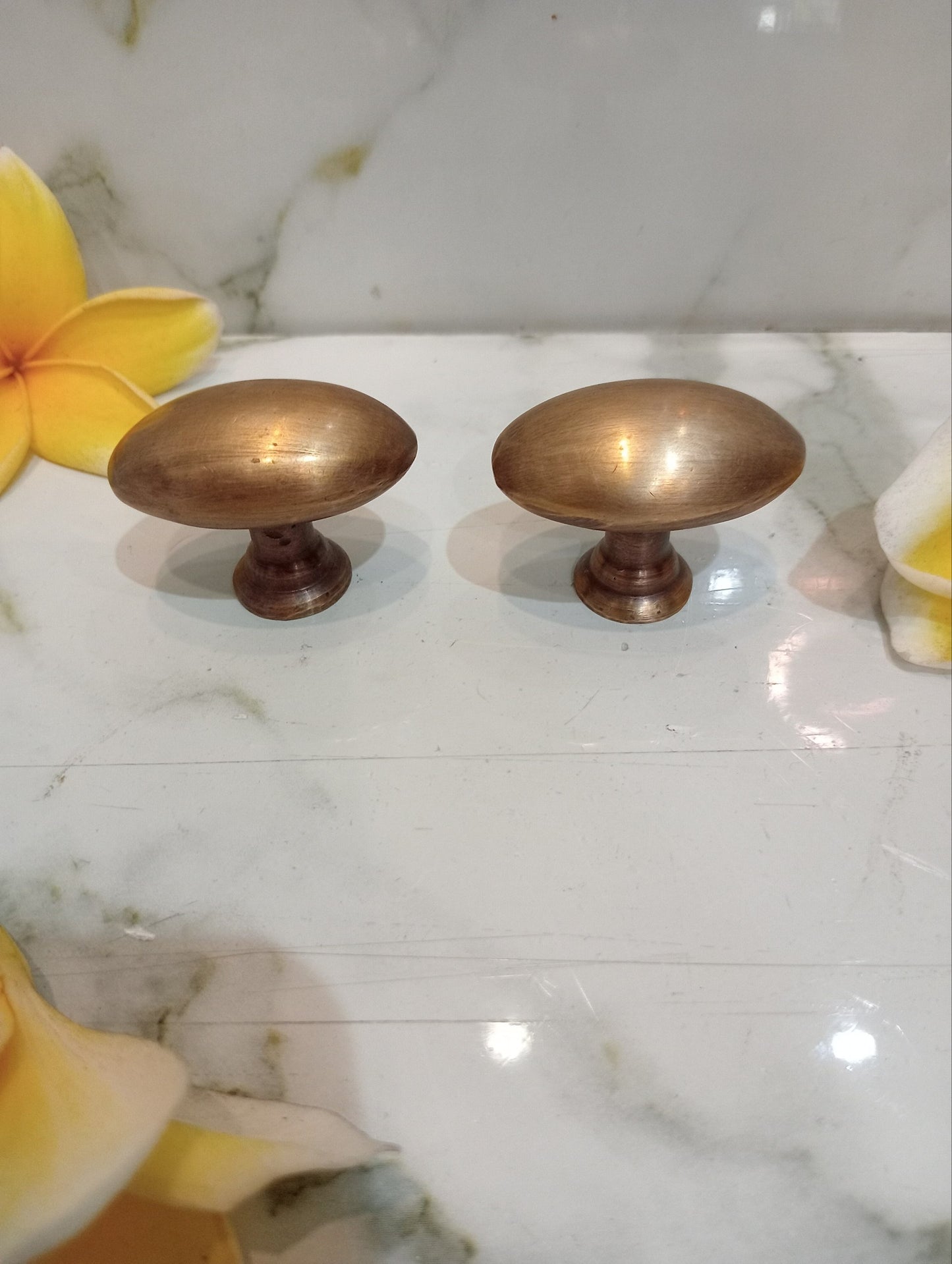 10pcs Solid Brass Oval Cabinet Knob | Antique Brass Egg Shape Drawer Knob | Vintage Dresser Pull | Kitchen Cabinet Handle