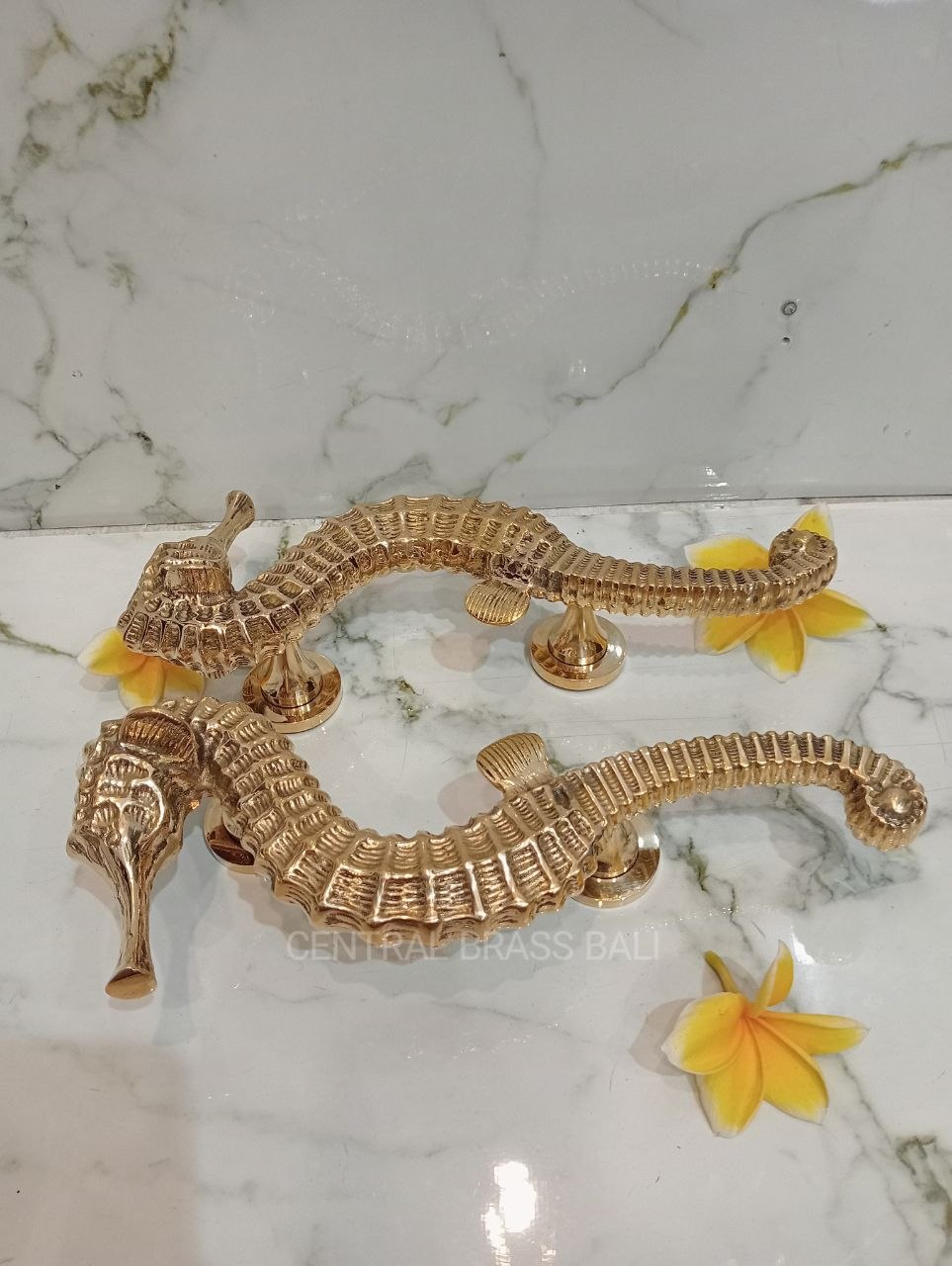 2xpcs Gold Polished Seahorse Door Handles