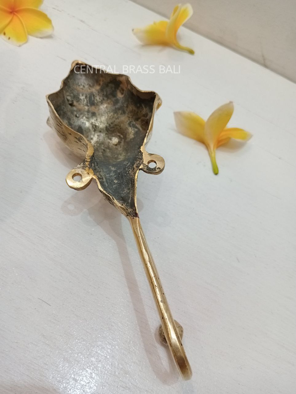 3pcs shell Hooks Brass