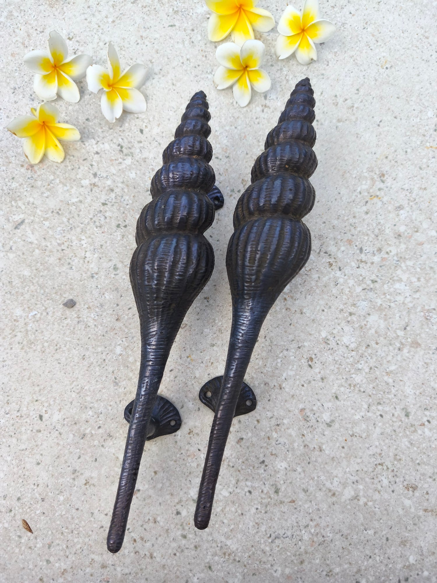 Unique shell shape front door pull in black finish, heavy solid brass door handles 1800 g per pair, coastal and nautical decor hardware for seaside homes, resorts and surf houses