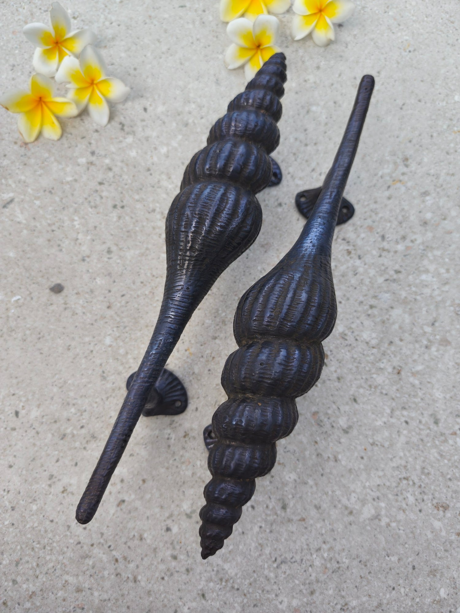 Rustic black seashell front door handles, solid brass coastal pull handle pair, unique beach decor door hardware for timber doors, white doors and seaside cottage entrances