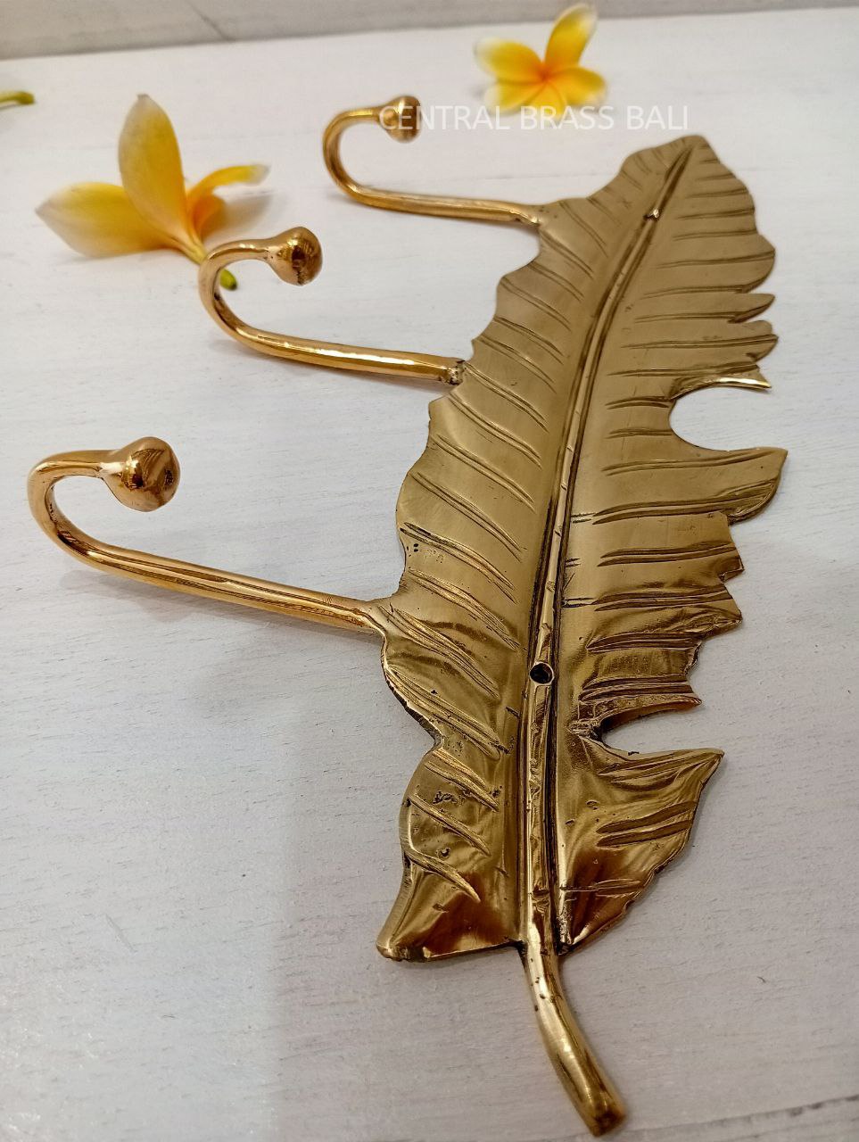 Big leaf door Brass Hooks