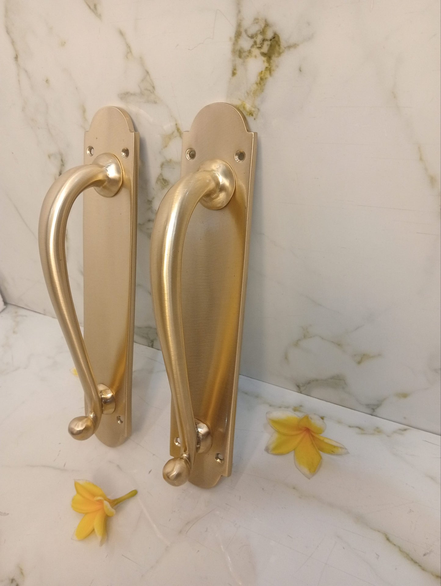 Modern Satin Brass French Door Handle | Luxury Entry Door Pull with Backplate | Contemporary Solid Brass Front Door Hardware | Pair