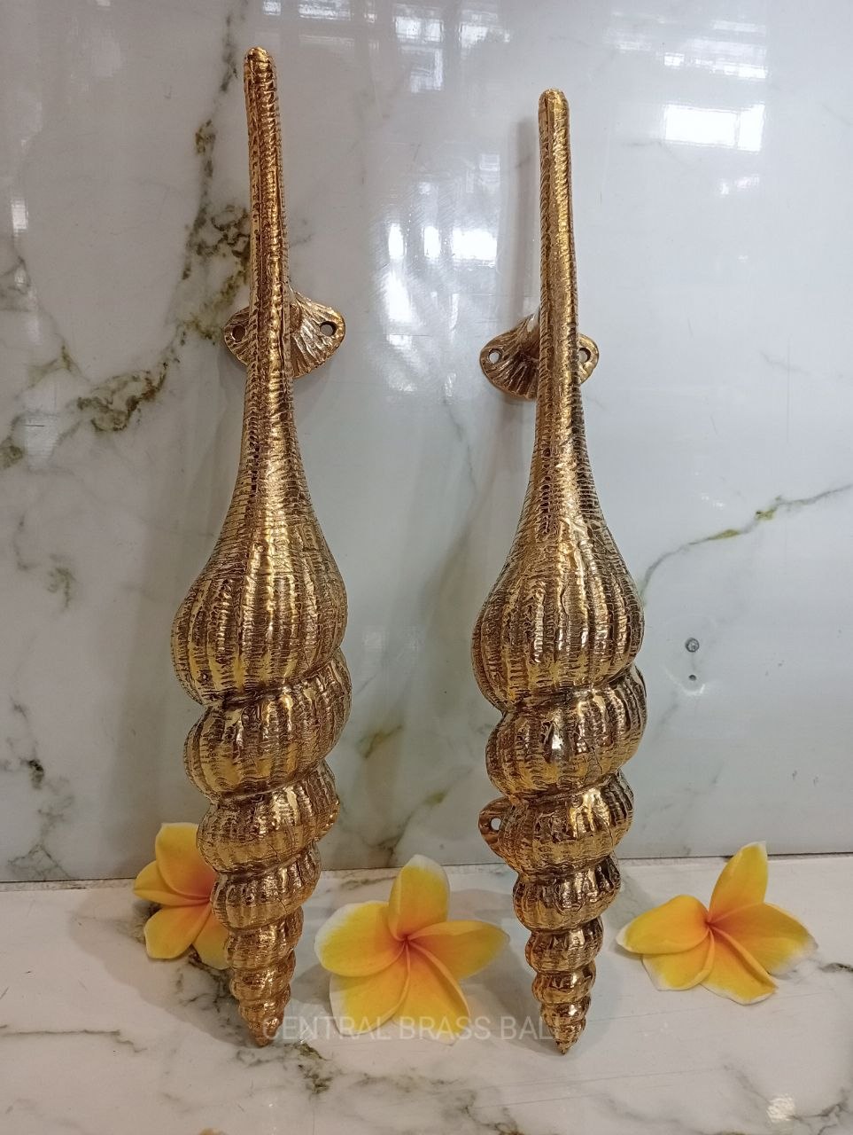 Set of 2pcs Shell Door handle