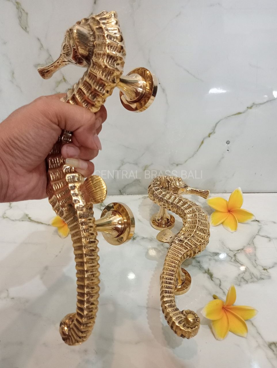 2xpcs Gold Polished Seahorse Door Handles