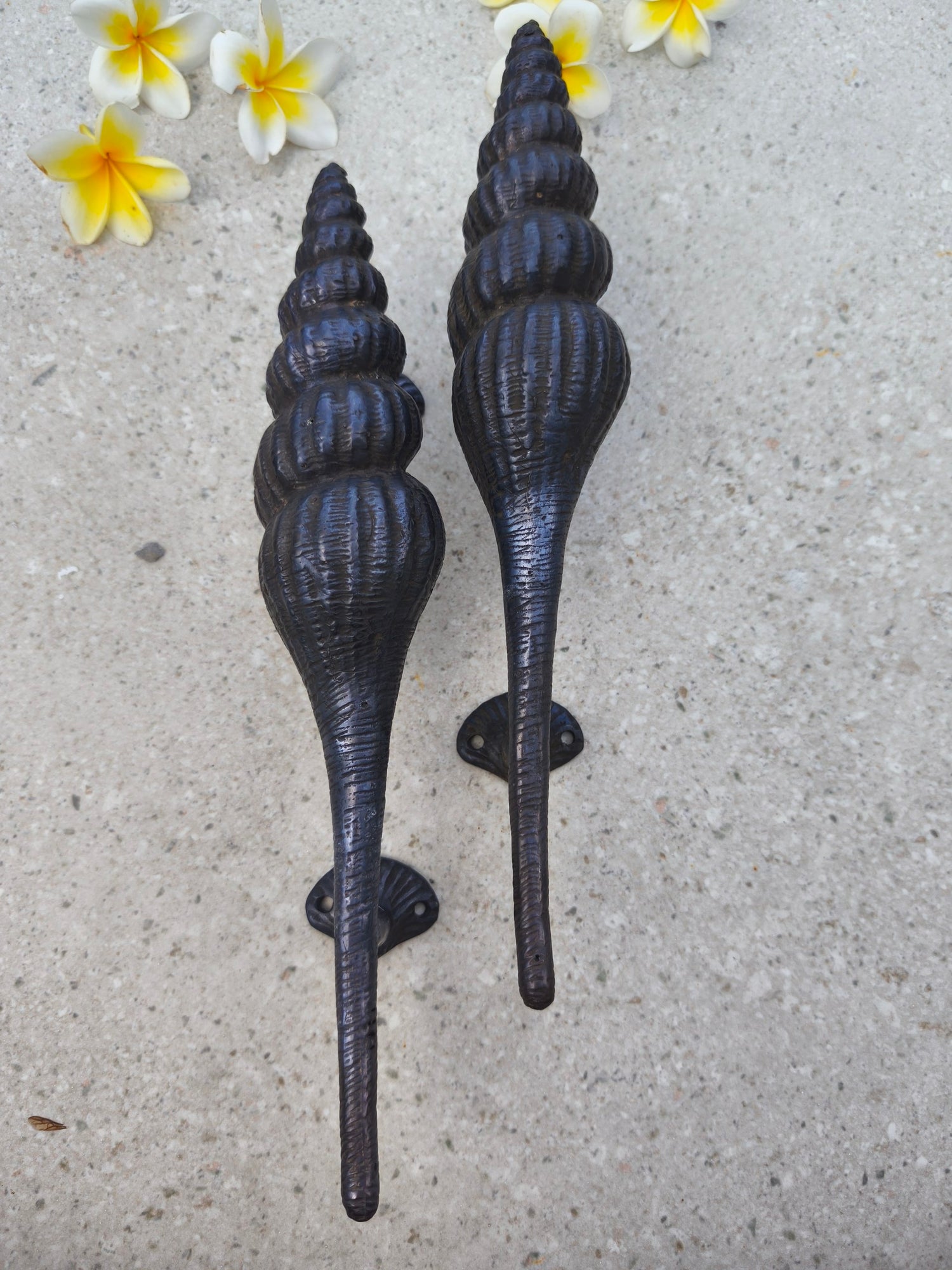 Coastal style black brass door pulls with curvy seashell design, pair of entry door handles 35 cm, beach house front door hardware that adds ocean charm to modern and rustic doors